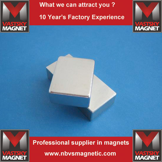 Magnet 79 (2)